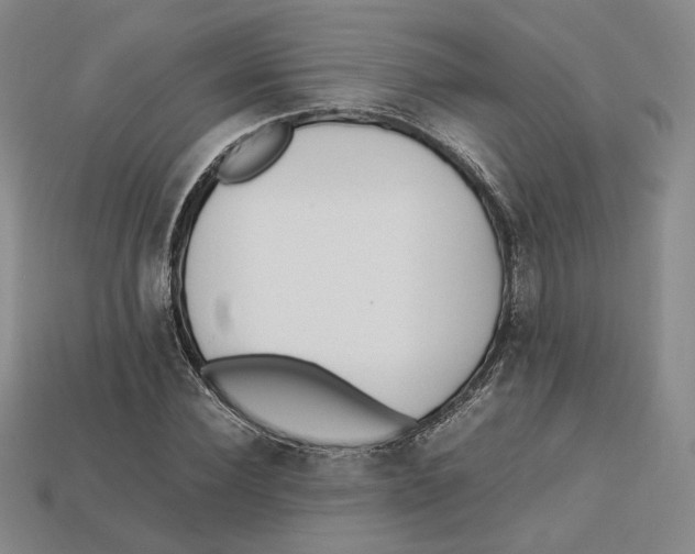 X0000112970924200909241323