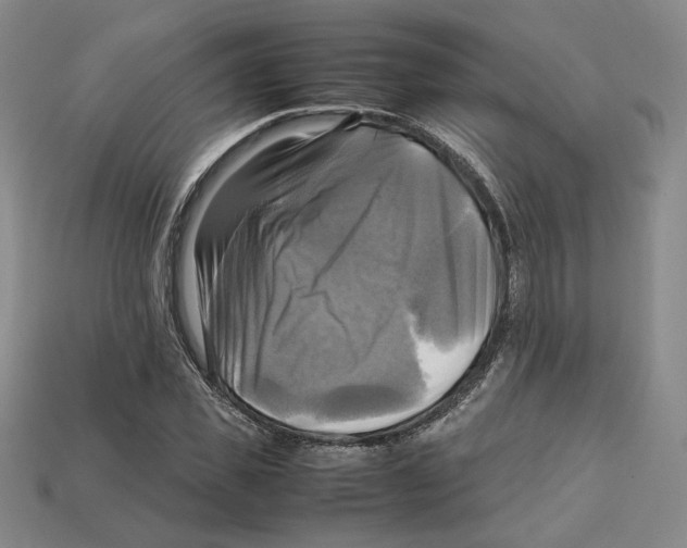 X0000112970925200909241323