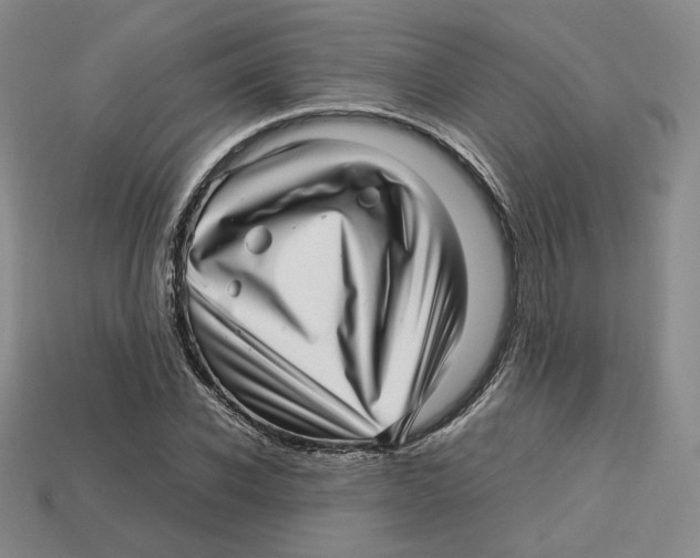 X0000112970926200909241323