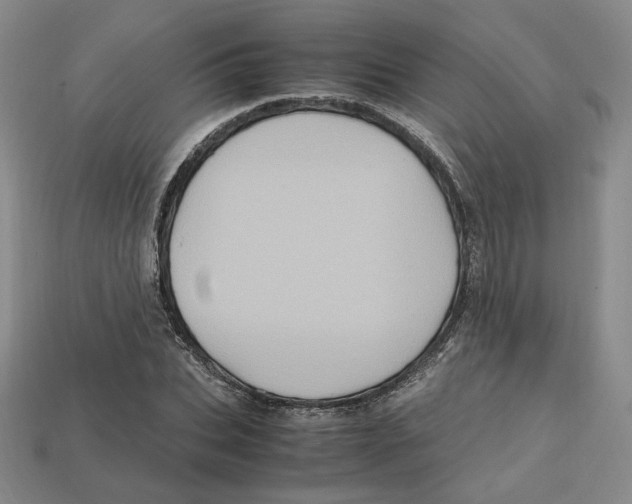 X0000112970927200909241324