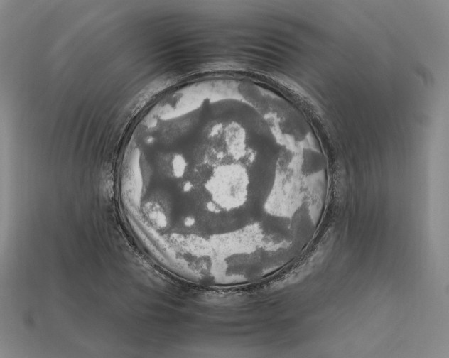 X0000112970929200909241324