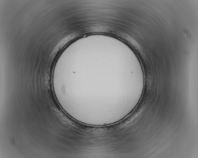X0000112970930200909241324