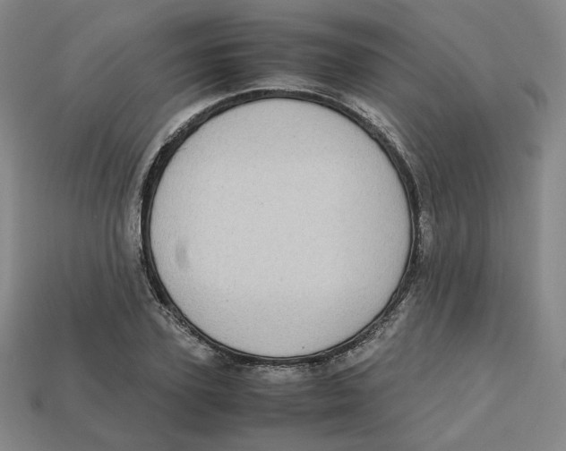 X0000112970931200909241324