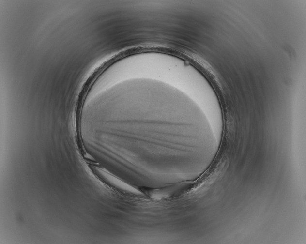 X0000112970935200909241324