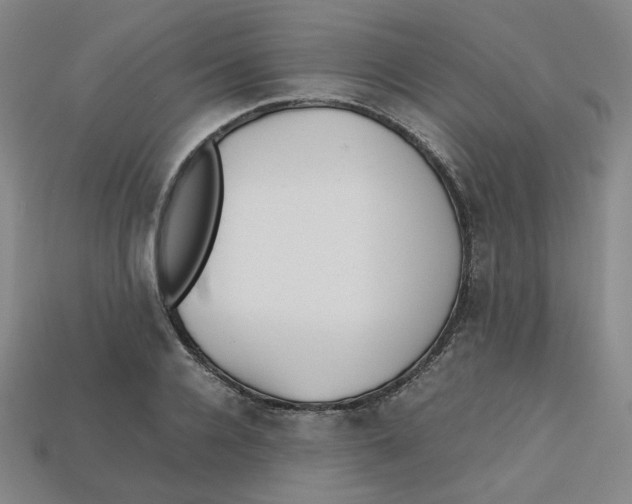 X0000112970936200909241324