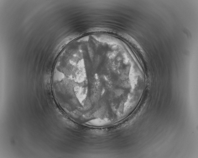 X0000112970937200909241324