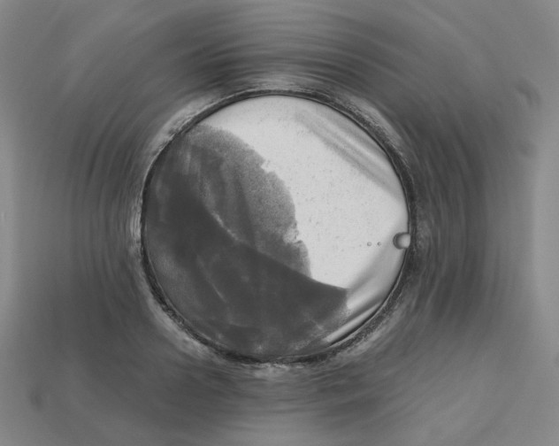 X0000112970938200909241324
