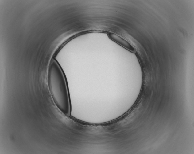 X0000112970940200909241324