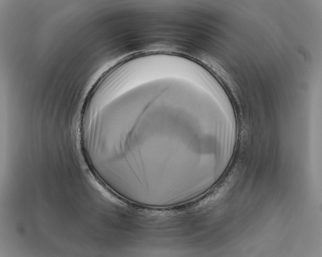 X0000112970941200909241324