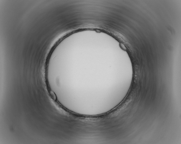 X0000112970942200909241324