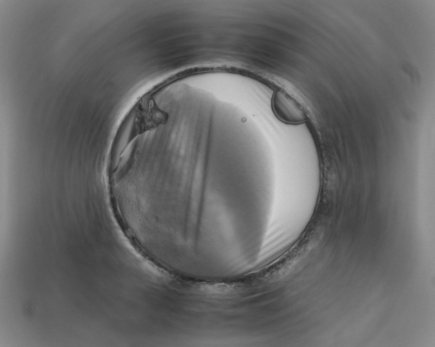 X0000112970943200909241324