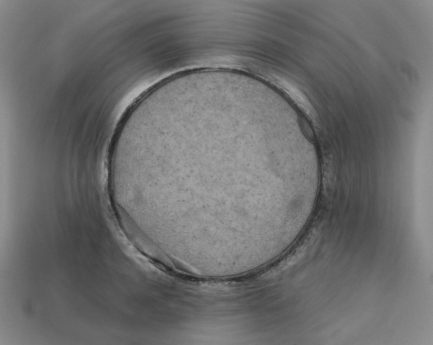 X0000112970944200909241324