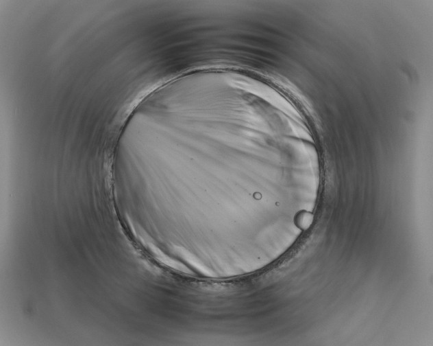 X0000112970945200909241324