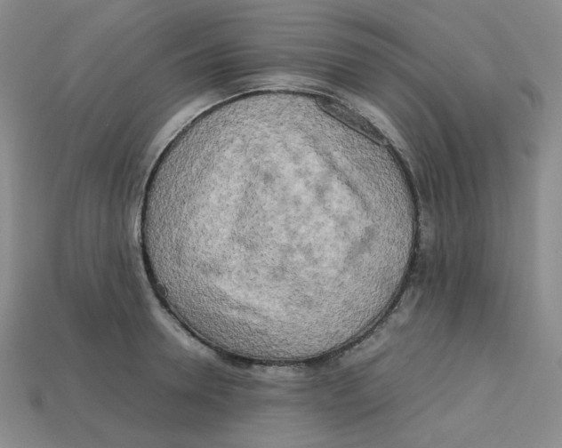 X0000112970946200909241324