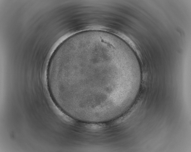 X0000112970947200909241324