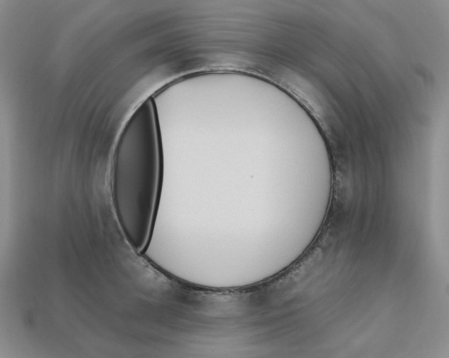 X0000112970948200909241324