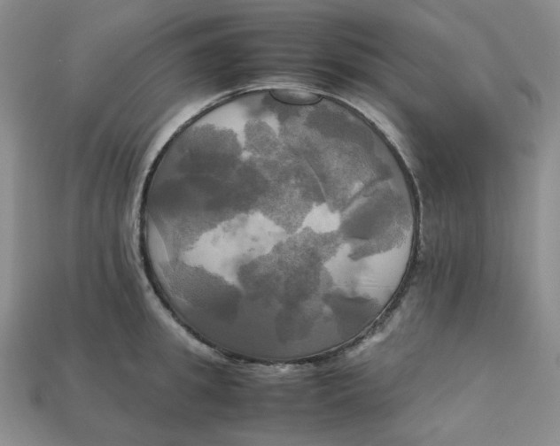 X0000112970949200909241324
