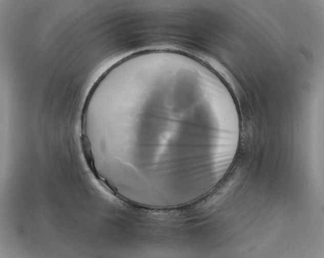 X0000112970951200909241324