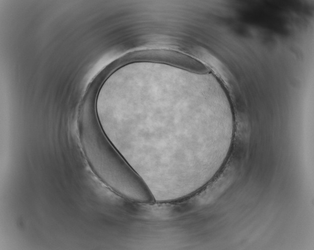 X0000112970952200909241324