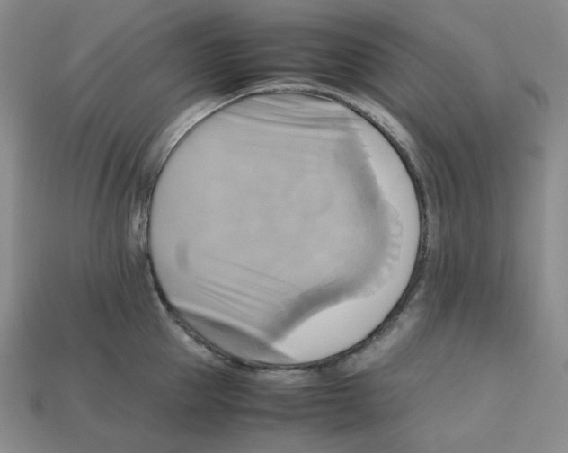 X0000112970953200909241324