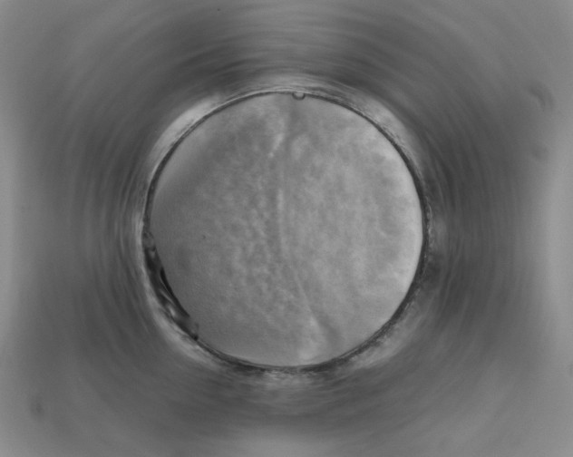 X0000112970954200909241324