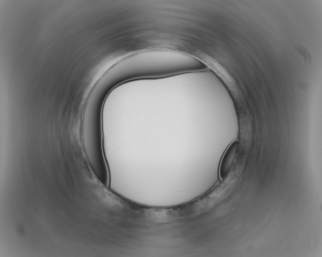 X0000112970956200909241324