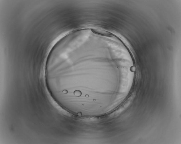 X0000112970957200909241324