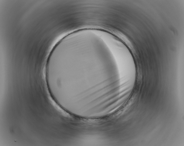 X0000112970958200909241324