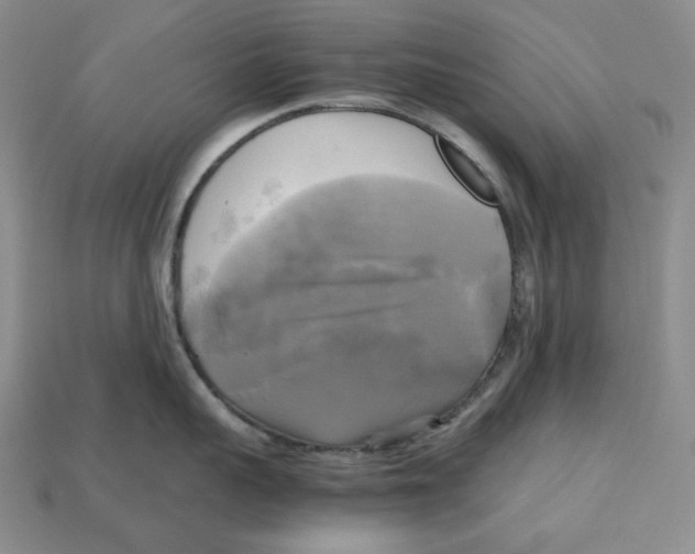 X0000112970959200909241324