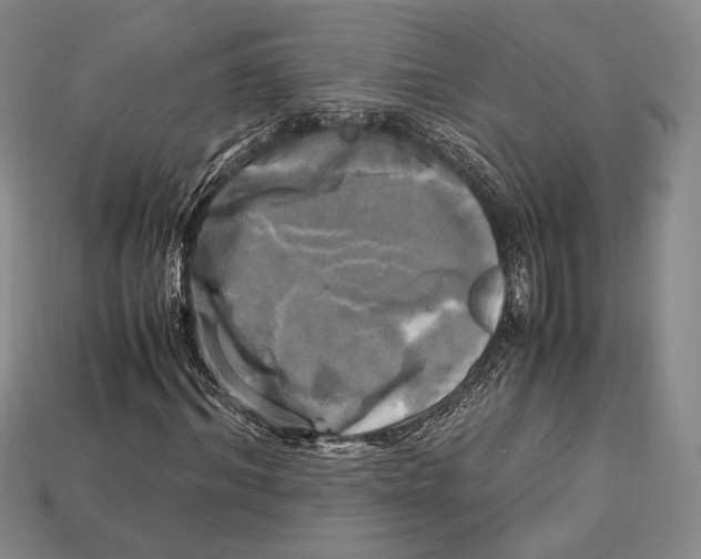 X0000112970964200909241323