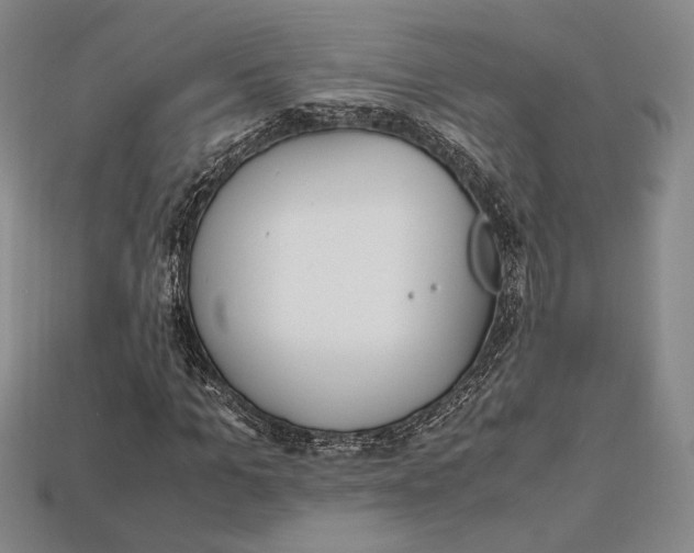 X0000112970965200909241323