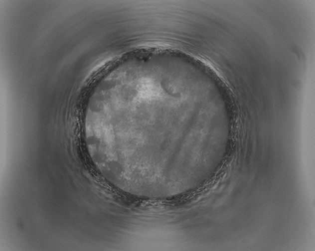 X0000112970967200909241323