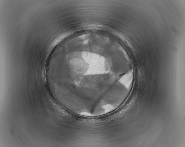 X0000112970970200909241323