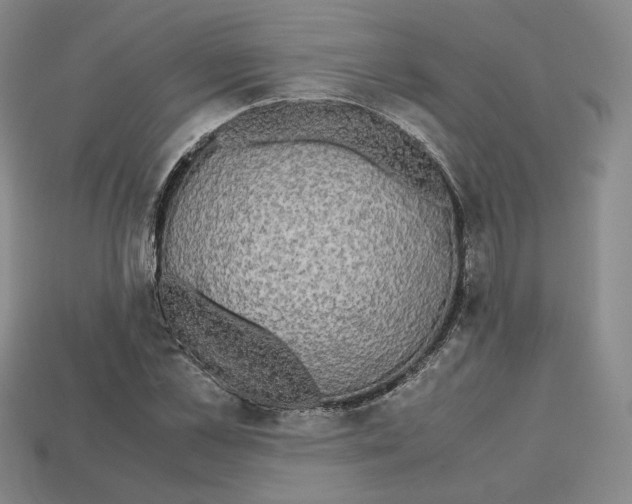 X0000112970973200909241323