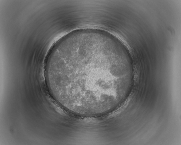 X0000112970974200909241323