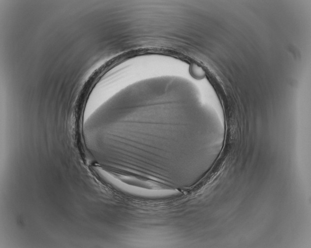X0000112970975200909241323