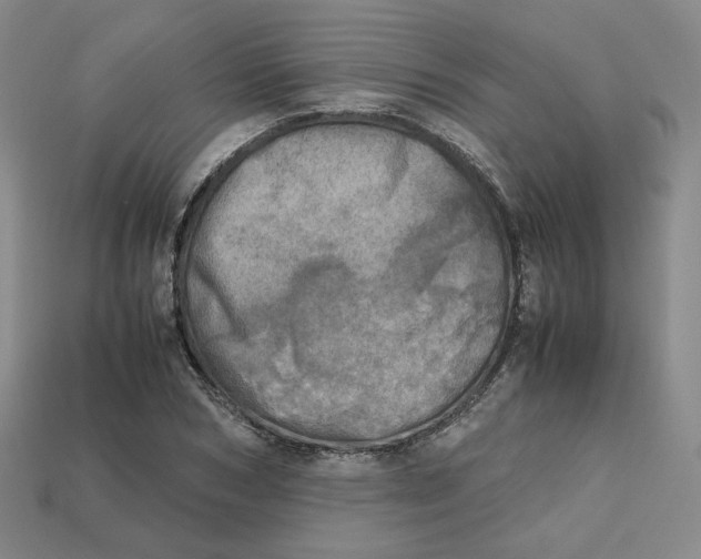 X0000112970978200909241323