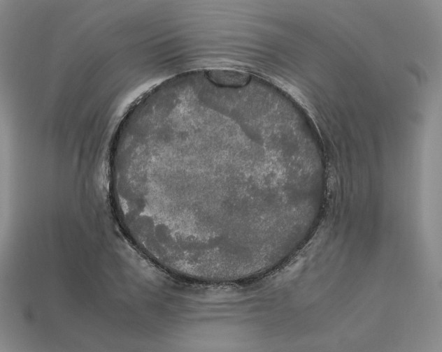 X0000112970979200909241323
