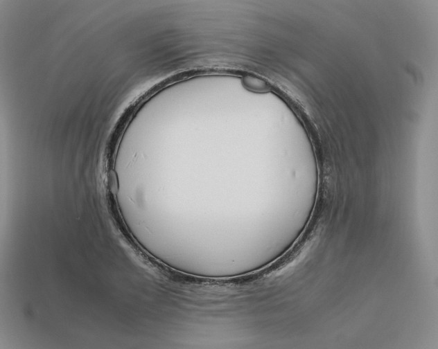 X0000112970981200909241323