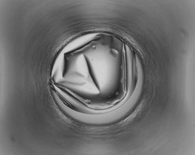 X0000112970985200909241323
