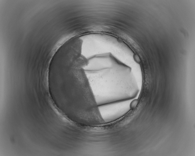X0000112970986200909241323