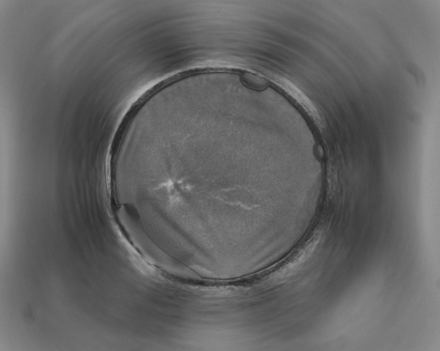 X0000112970988200909241323