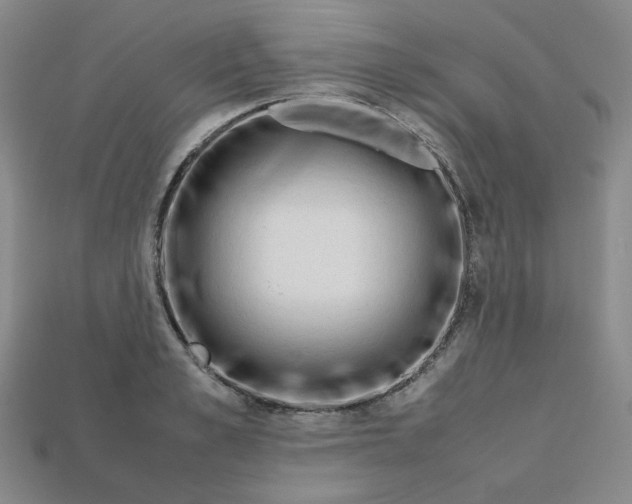 X0000112970989200909241323