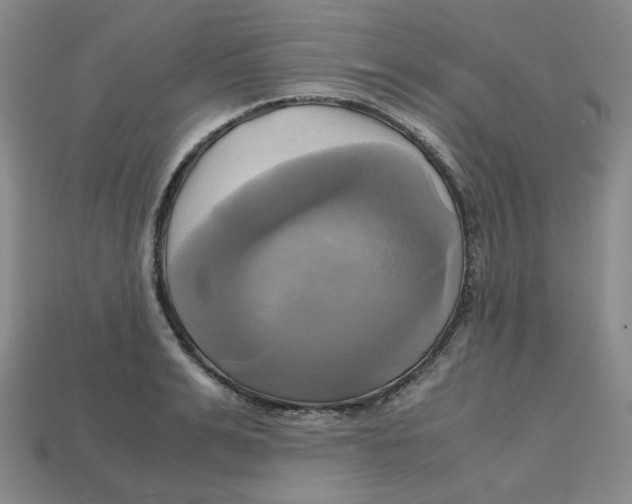 X0000112970991200909241323