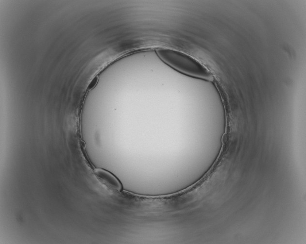 X0000112970993200909241323