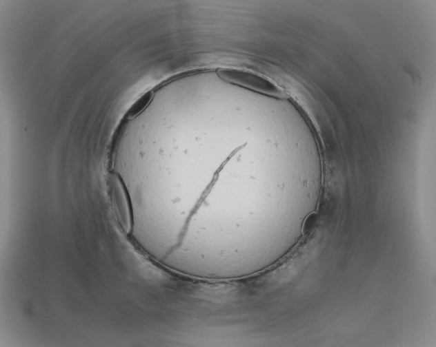 X0000112970997200909241323