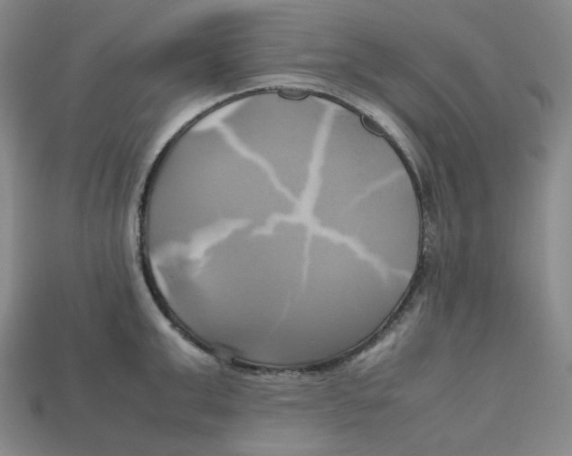 X0000112970999200909241323