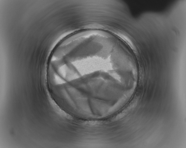 X0000112971000200909241323