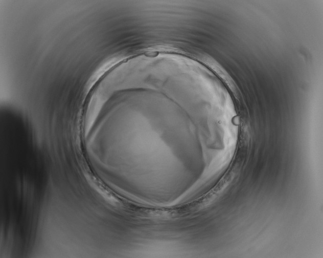 X0000112971002200909241323