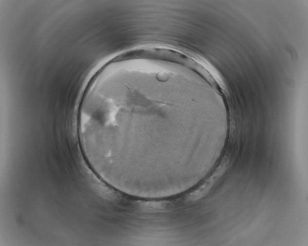 X0000112971004200909241323